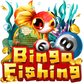 Câu Cá Bingo 78wi